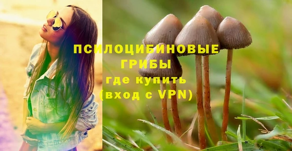 метадон Армянск