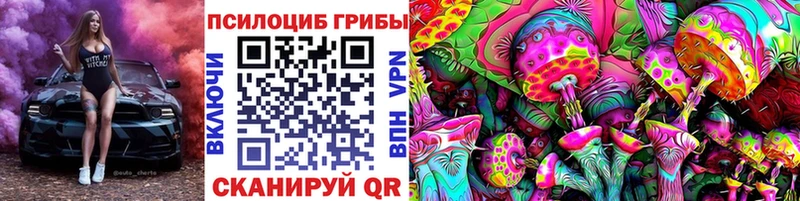 купить наркоту  Суздаль  Псилоцибиновые грибы ЛСД 